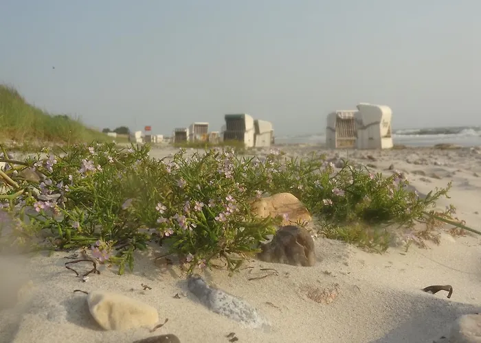 Apartment Weitblick Hasselberg (Schleswig-Holstein)